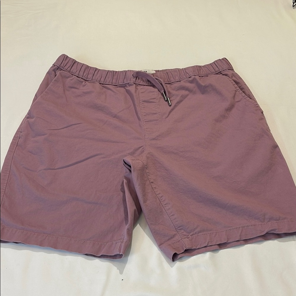 SONOMA SIZE 36 Men's Mauve Casual Pull on Shorts, Elastic waistband Dra…
